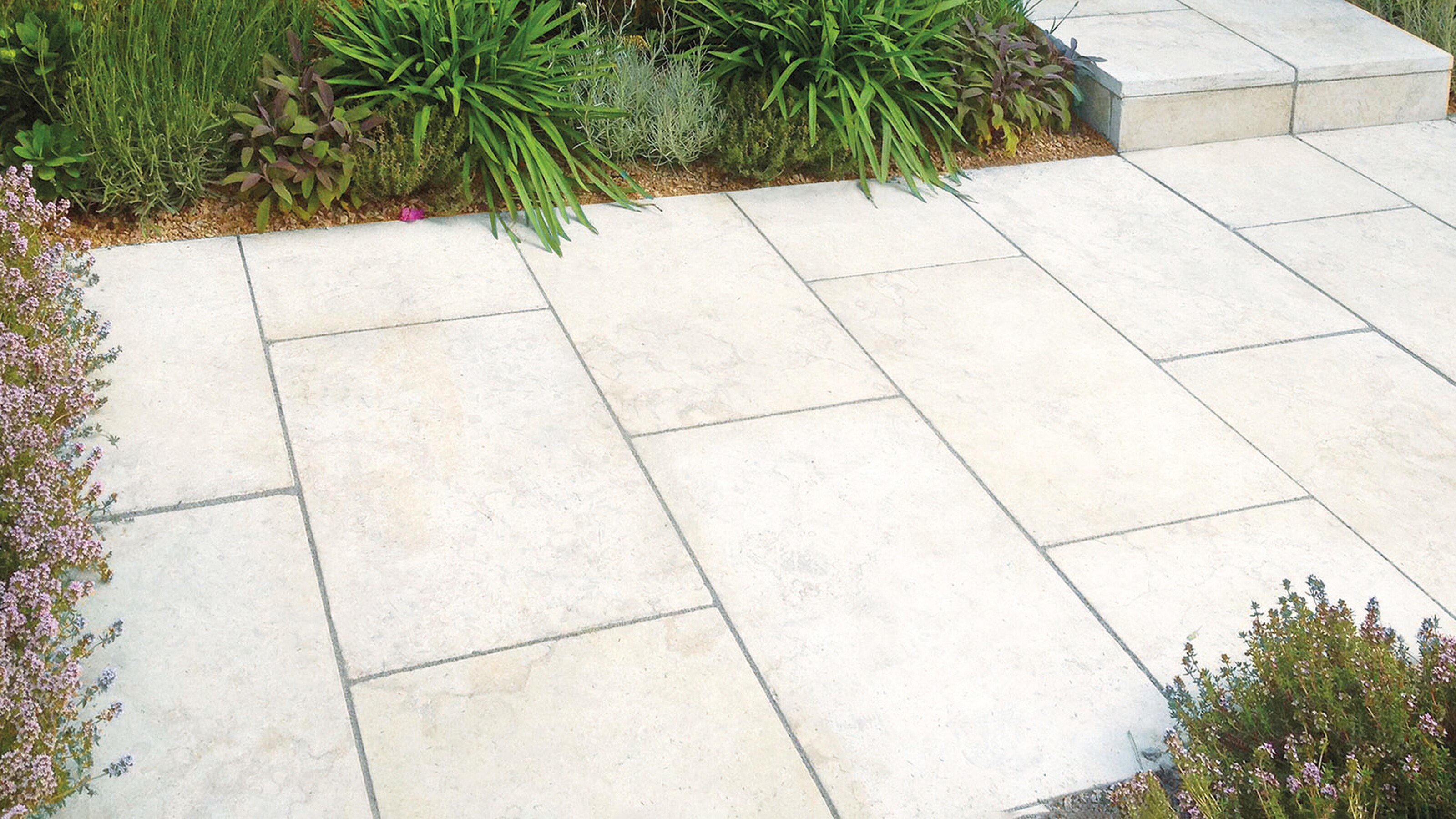 Lichtbeige terrastegels met rand van groen en paarse struiken in de tuin
