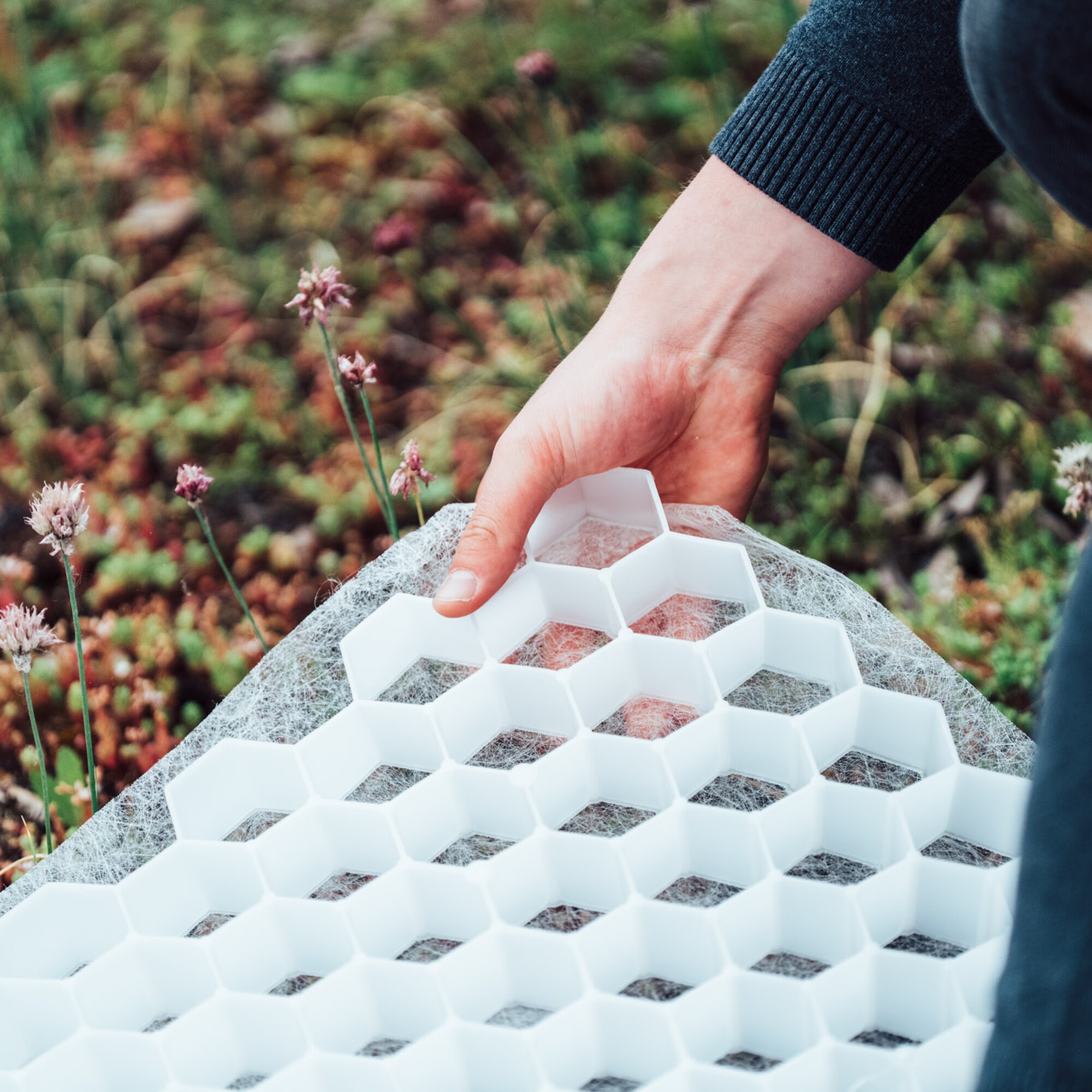 Hand holding a white foam packing tray outdoors on fallen leaves