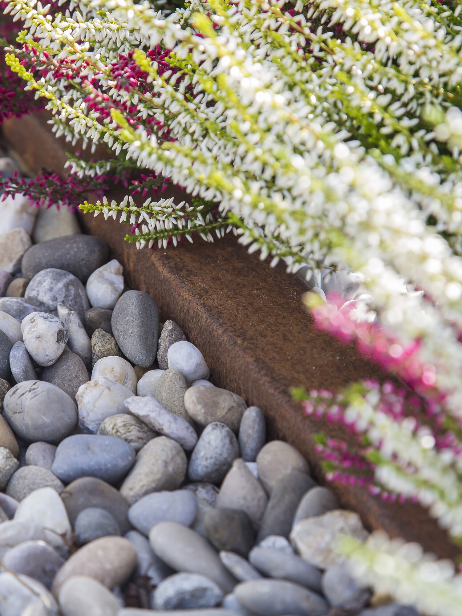 Pink- a wäiss Heidebouquet op glaten groe Kieselen