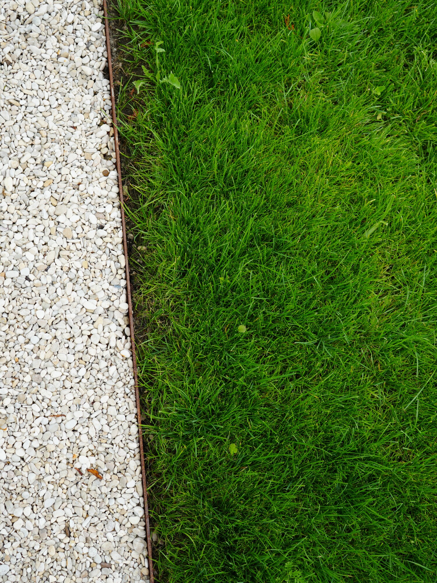 Concrete sidewalk edge next to bright green grass