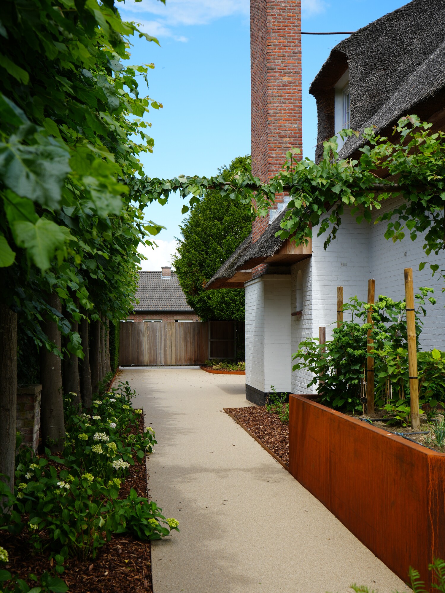 Narrow garden walkway next to a white building with plants and a tall brick chimney under a blue sky
