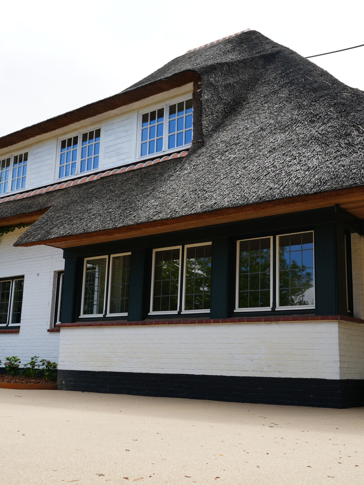 Thatched-roof cottage with white walls and blue windows, viewed from the side