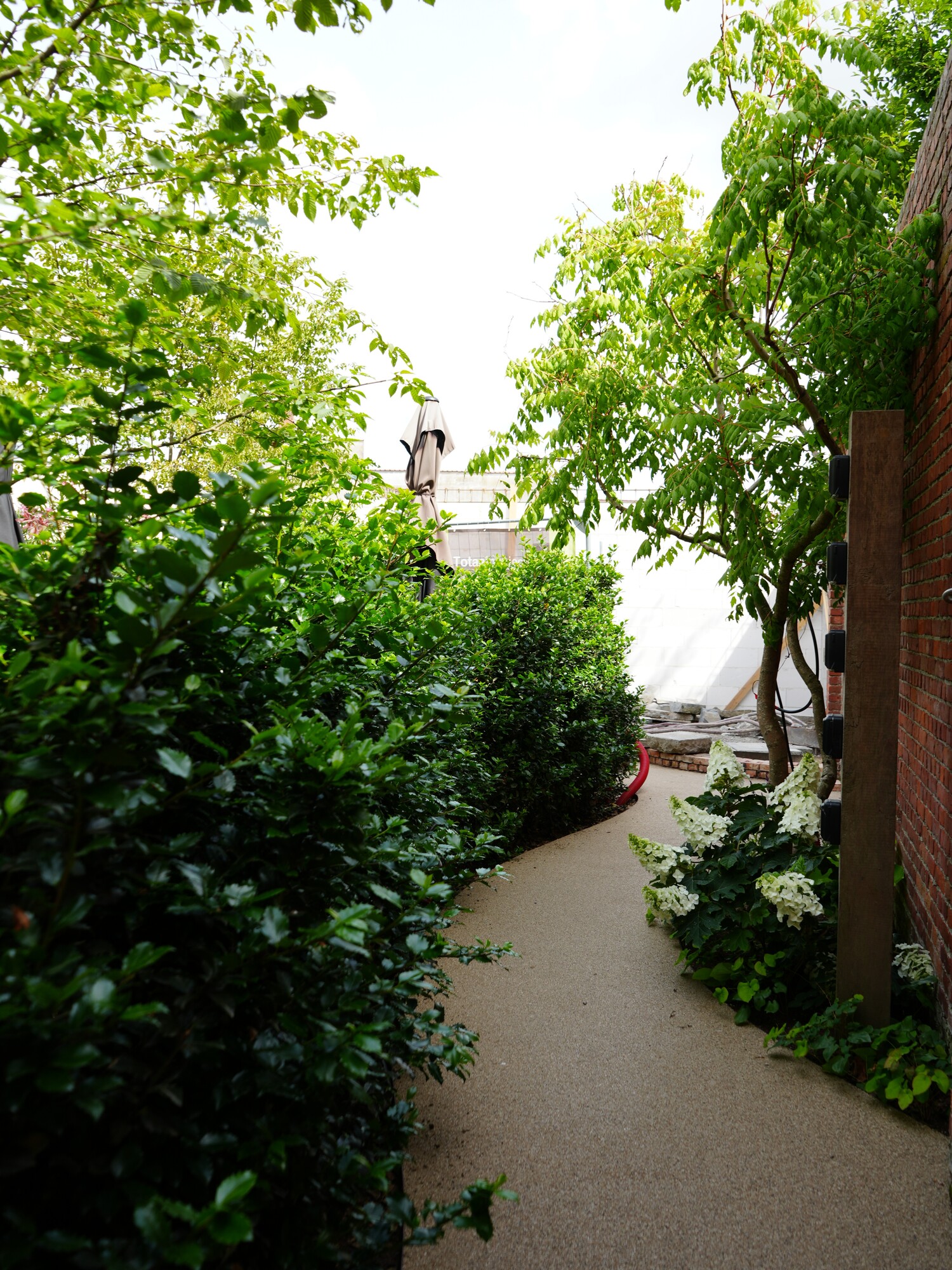Narrow garden path with green shrubs and trees, brick wall on the right.