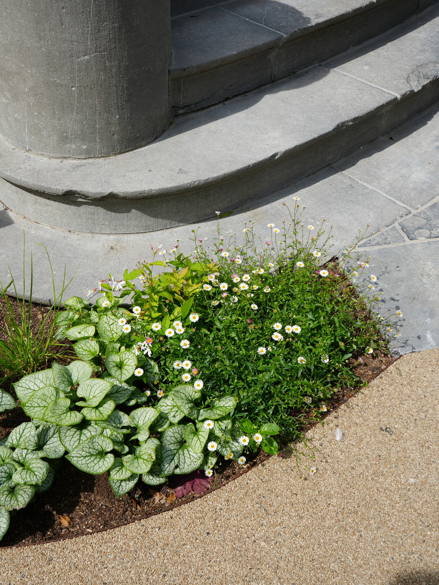 Flower bed next to a stone staircase with a column, sunlight on the tiles
