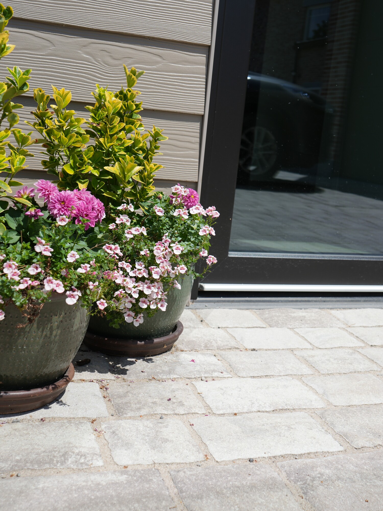 Two potted flowering plants on a stone patio by a sliding door