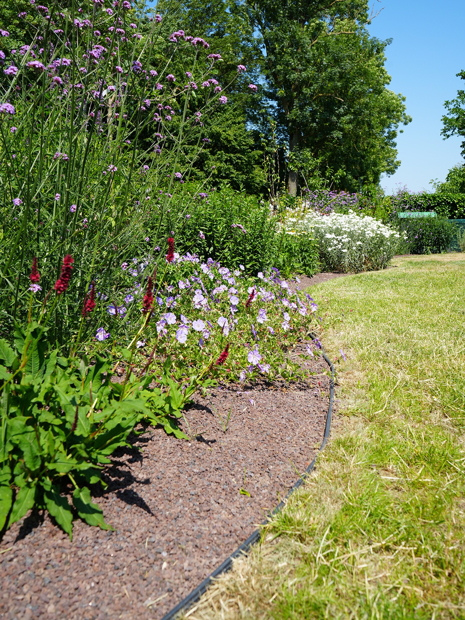 Bloemenborder langs een grasveld op een zonnige dag