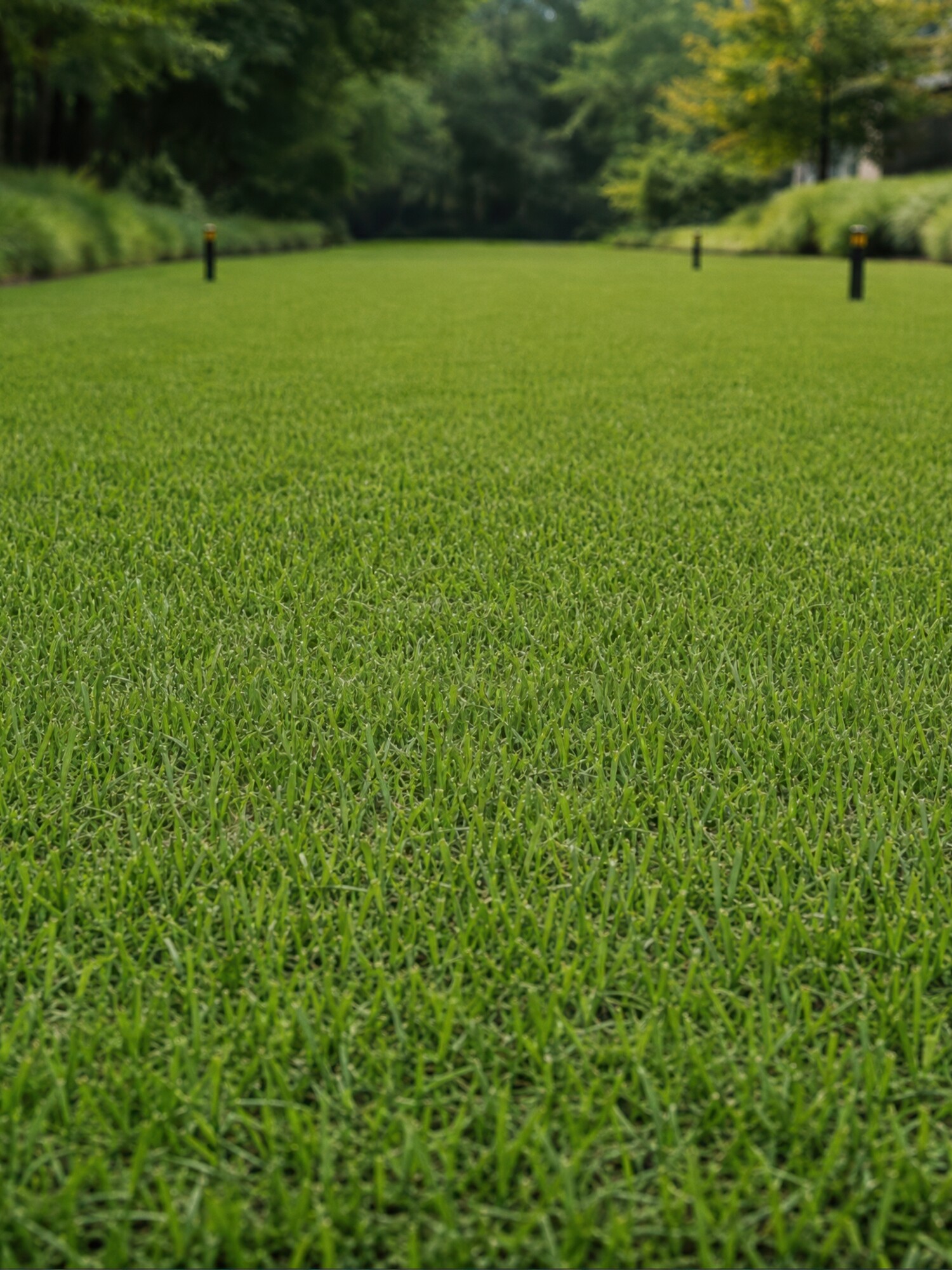 Groen grasveld met bomen en een persoon in rood op de achtergrond
