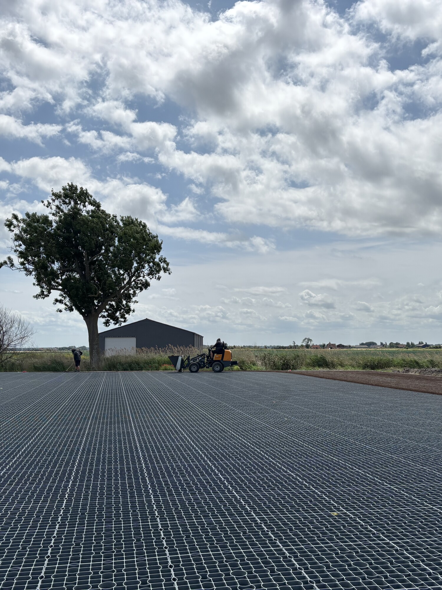 Solar panel array under a cloudy sky, with trees and a distant building