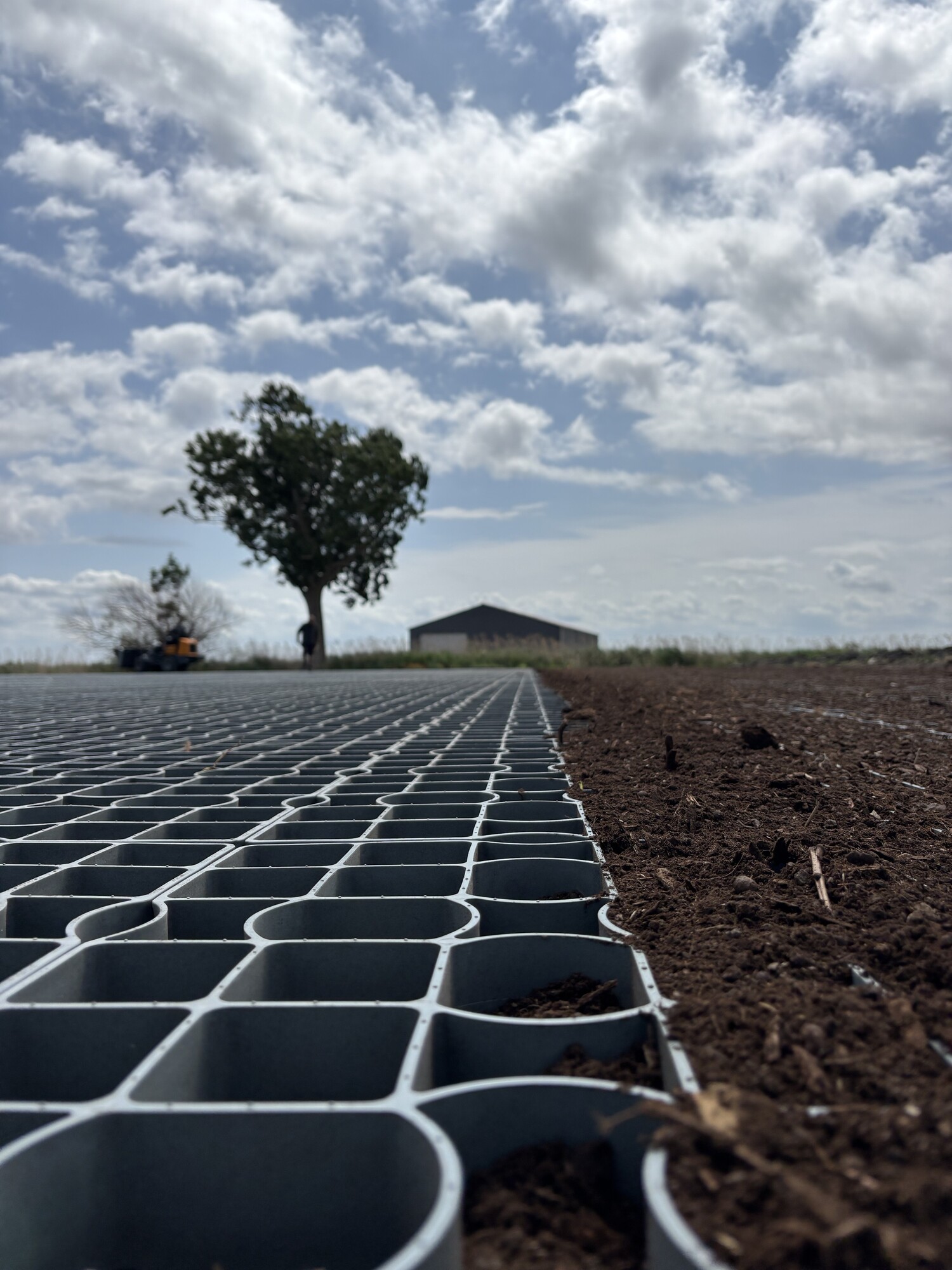 Vue au niveau du sol d’un ensemble de panneaux solaires dans un champ, avec un arbre isolé et des nuages