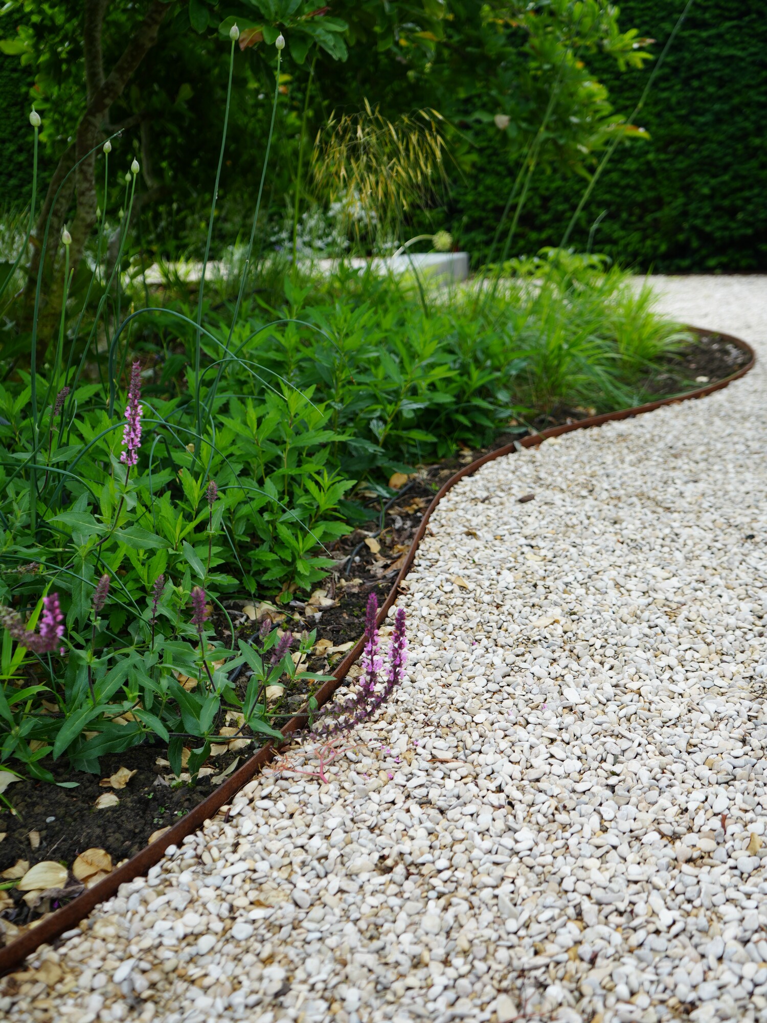 Chemin de gravier sinueux longeant des plantes verdoyantes et du bambou dans un jardin