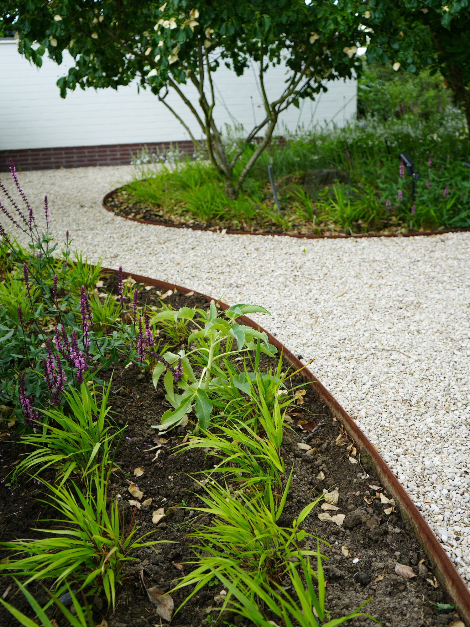 Chemin de gravier incurvé à côté d’un parterre de fleurs avec des plantes vertes et des fleurs violettes
