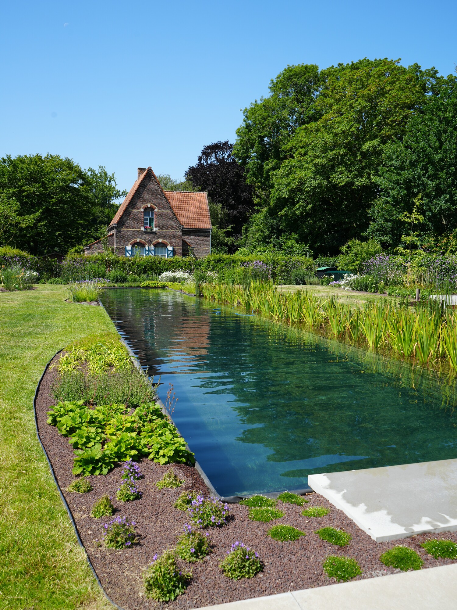 Landscaped garden with a narrow pond leading to a house under a clear blue sky