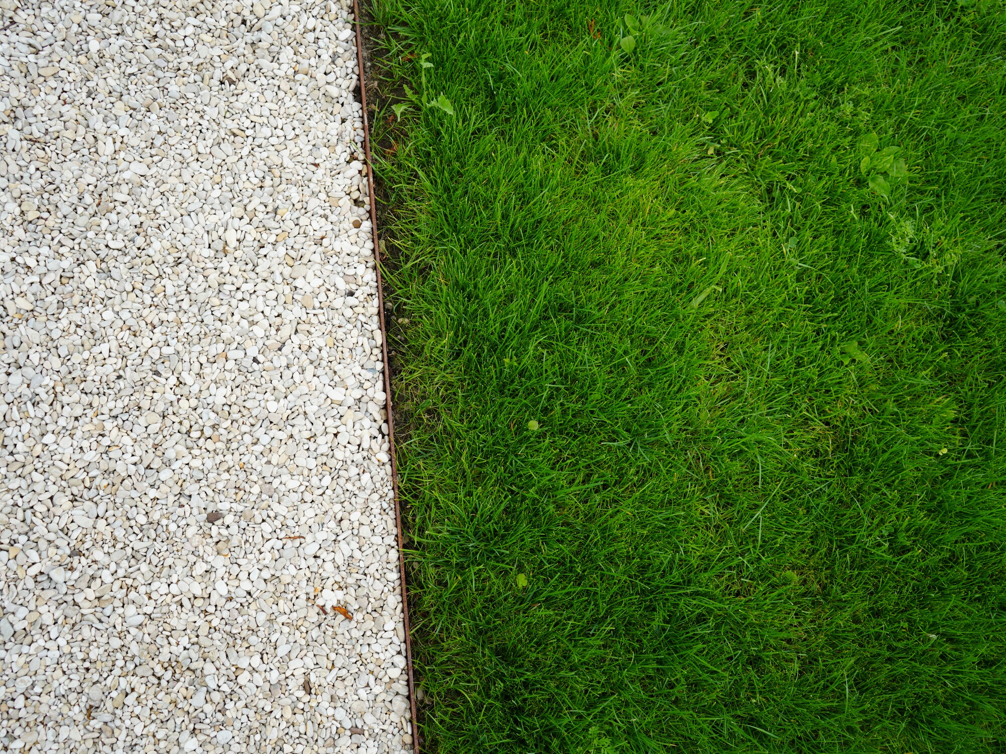 Betonkante des Gehsteigs neben leuchtend grünem Gras