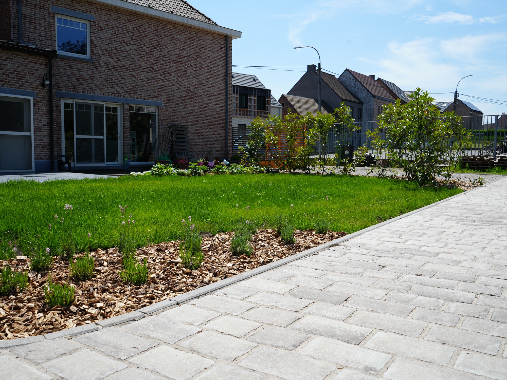 Paved walkway beside green lawn in a sunny suburban neighborhood
