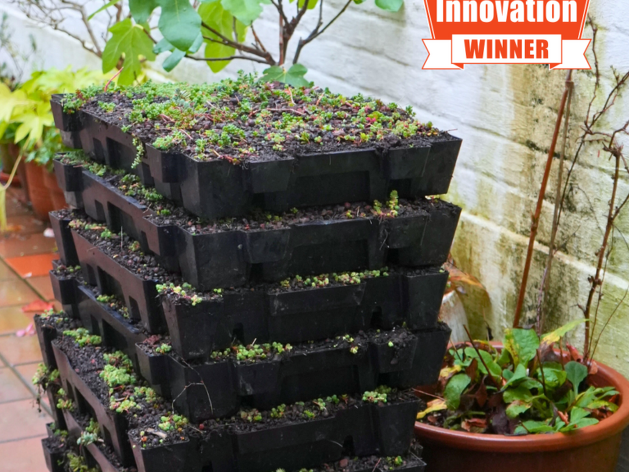 Stacked black seedling trays in a greenhouse, with a “DOBBIT Innovation Winner” badge