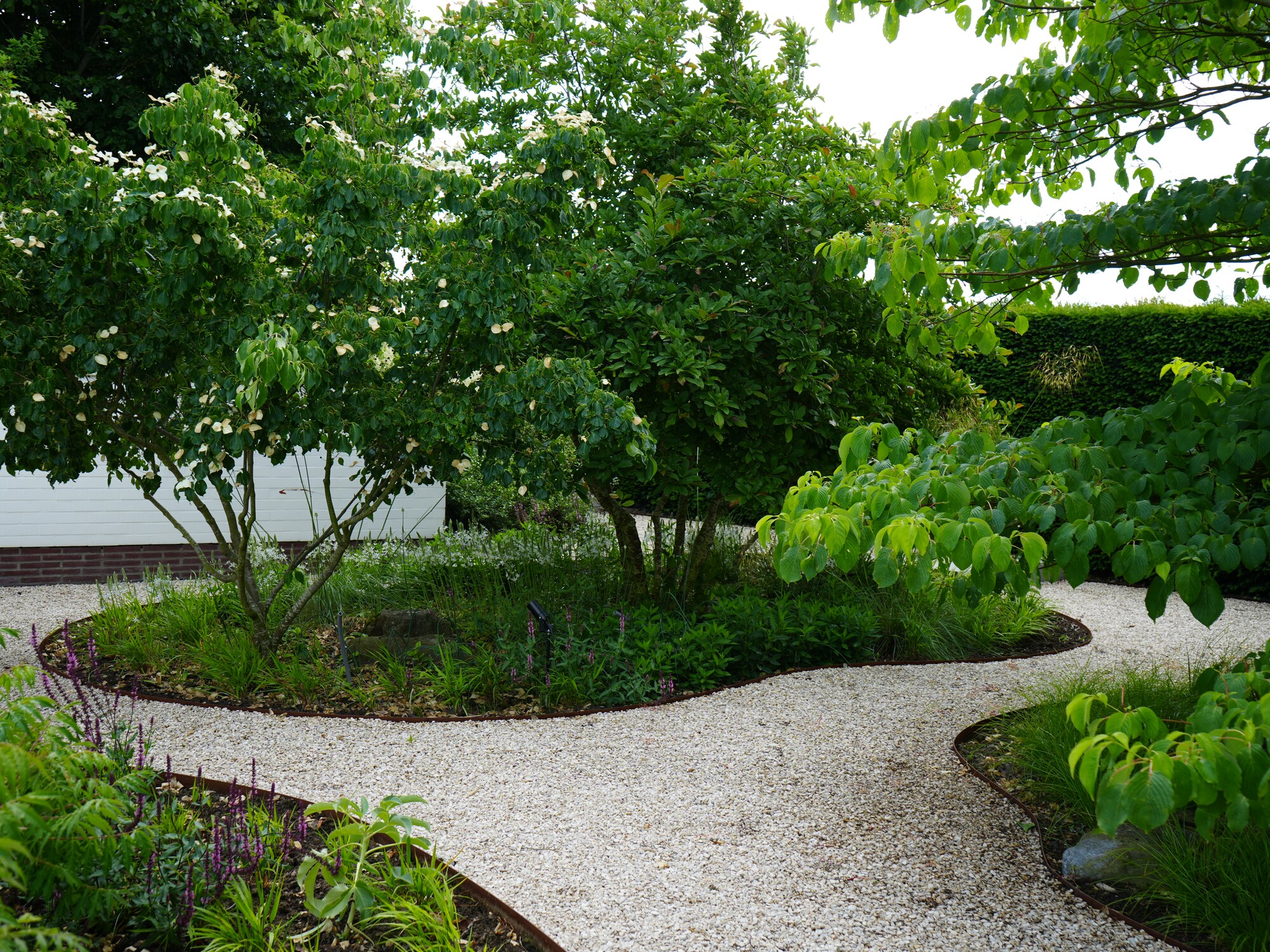 Chemin de gravier incurvé traversant un jardin verdoyant et luxuriant sous des arbres aux feuilles denses