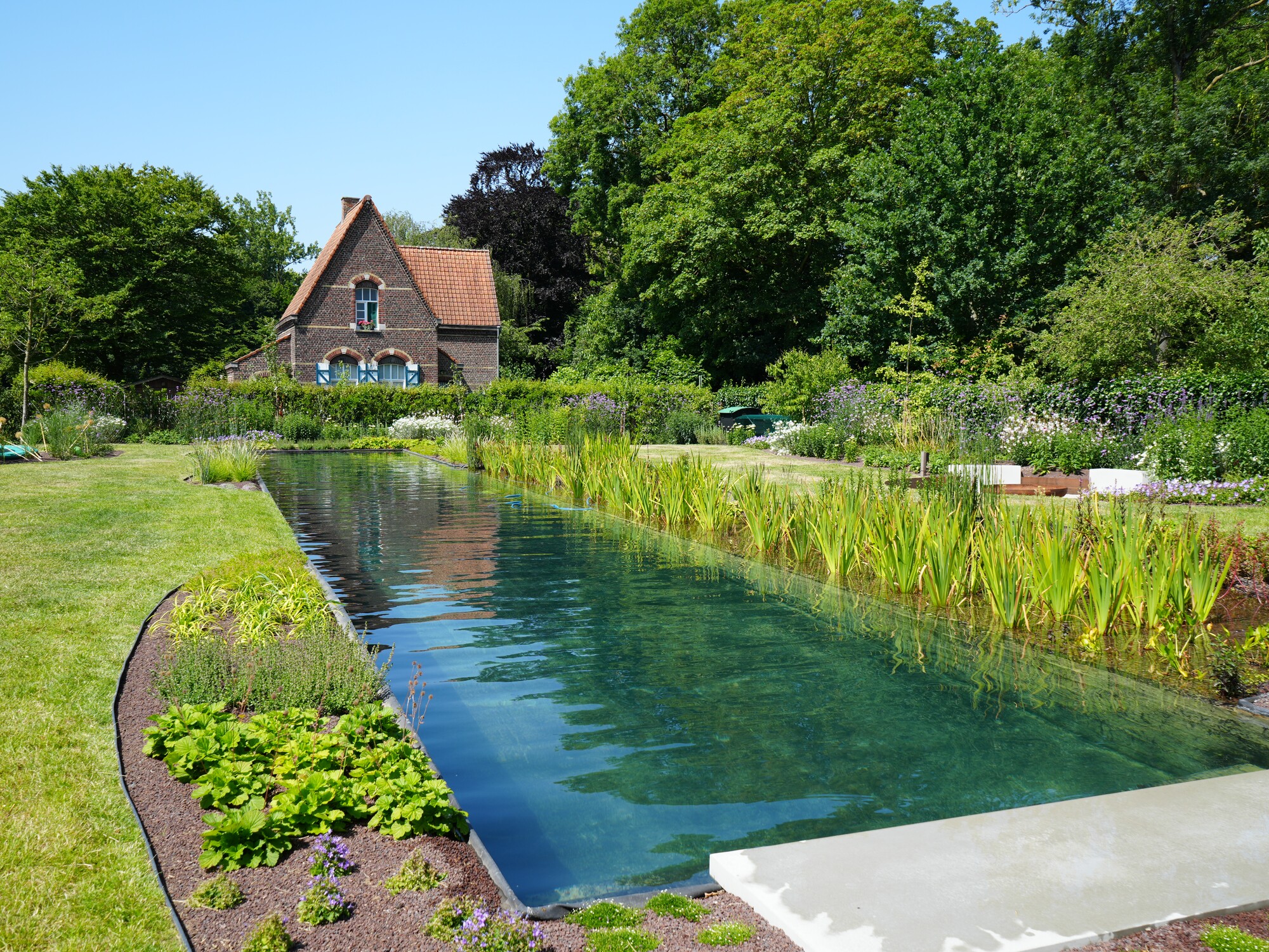 Long rectangular garden pond with plants, grass border, and trees on a sunny day