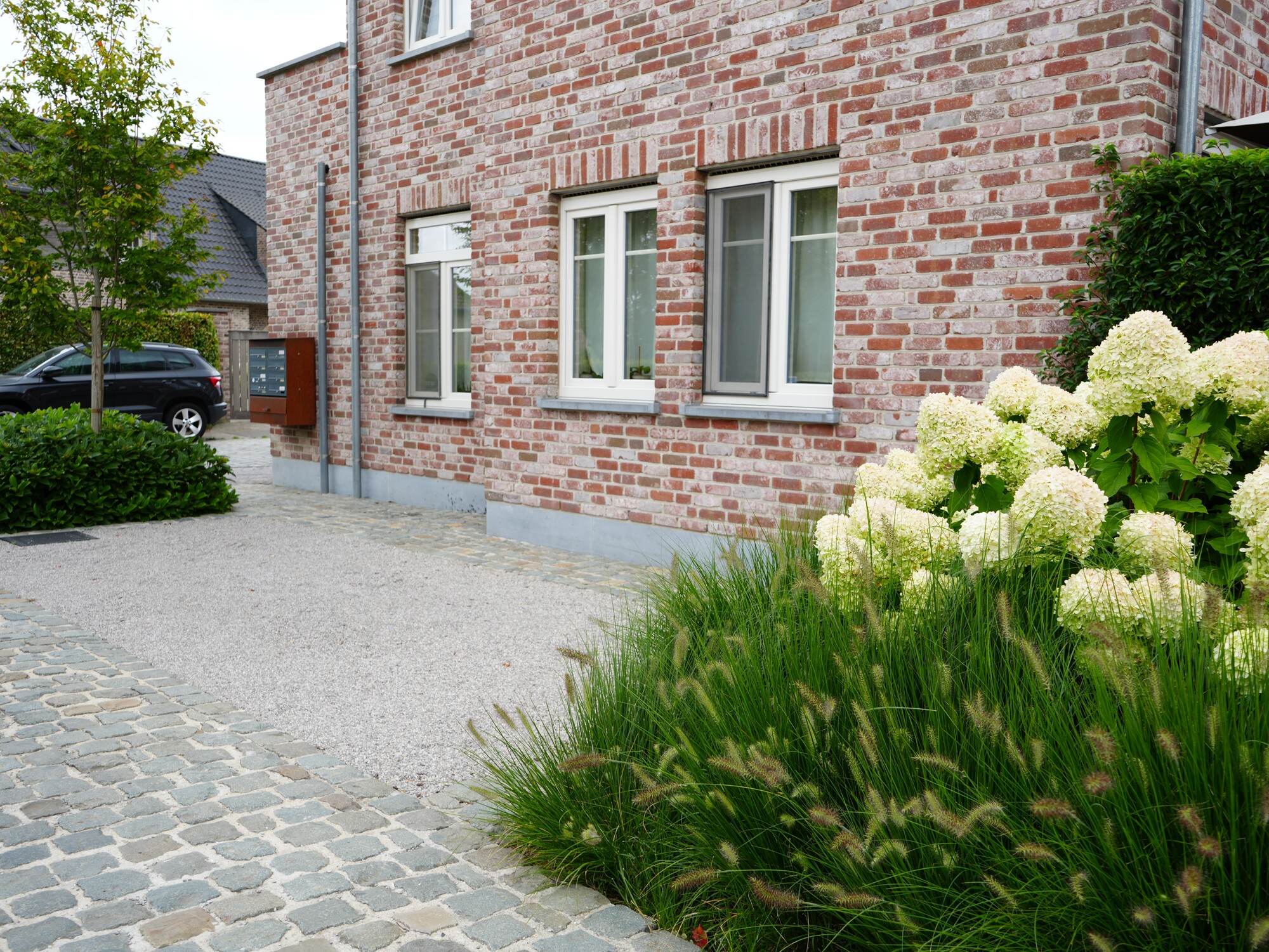 Brick house with cobblestone driveway and blooming white hydrangeas along the path