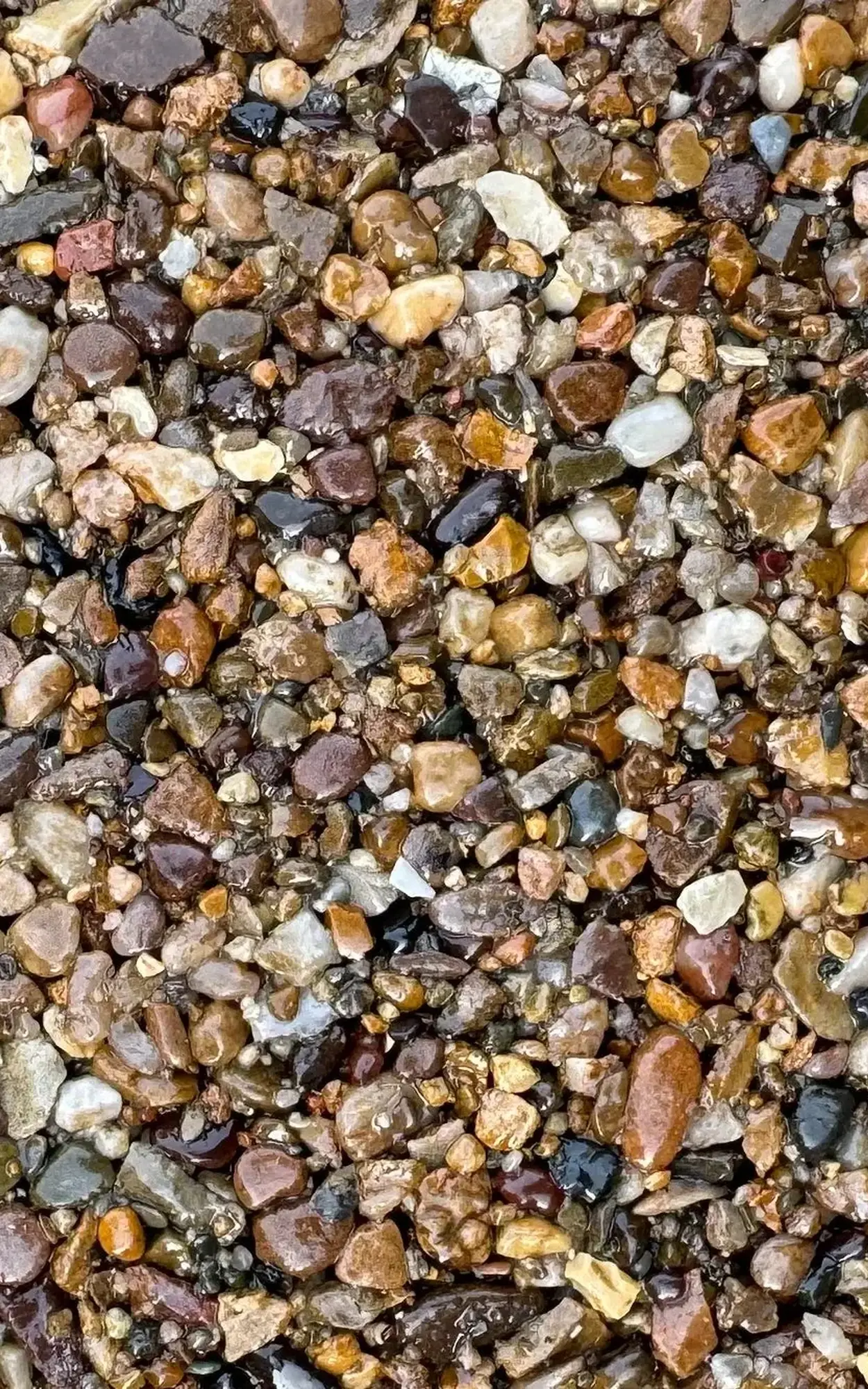 Close-up of multicolored pebbles and gravel on the ground