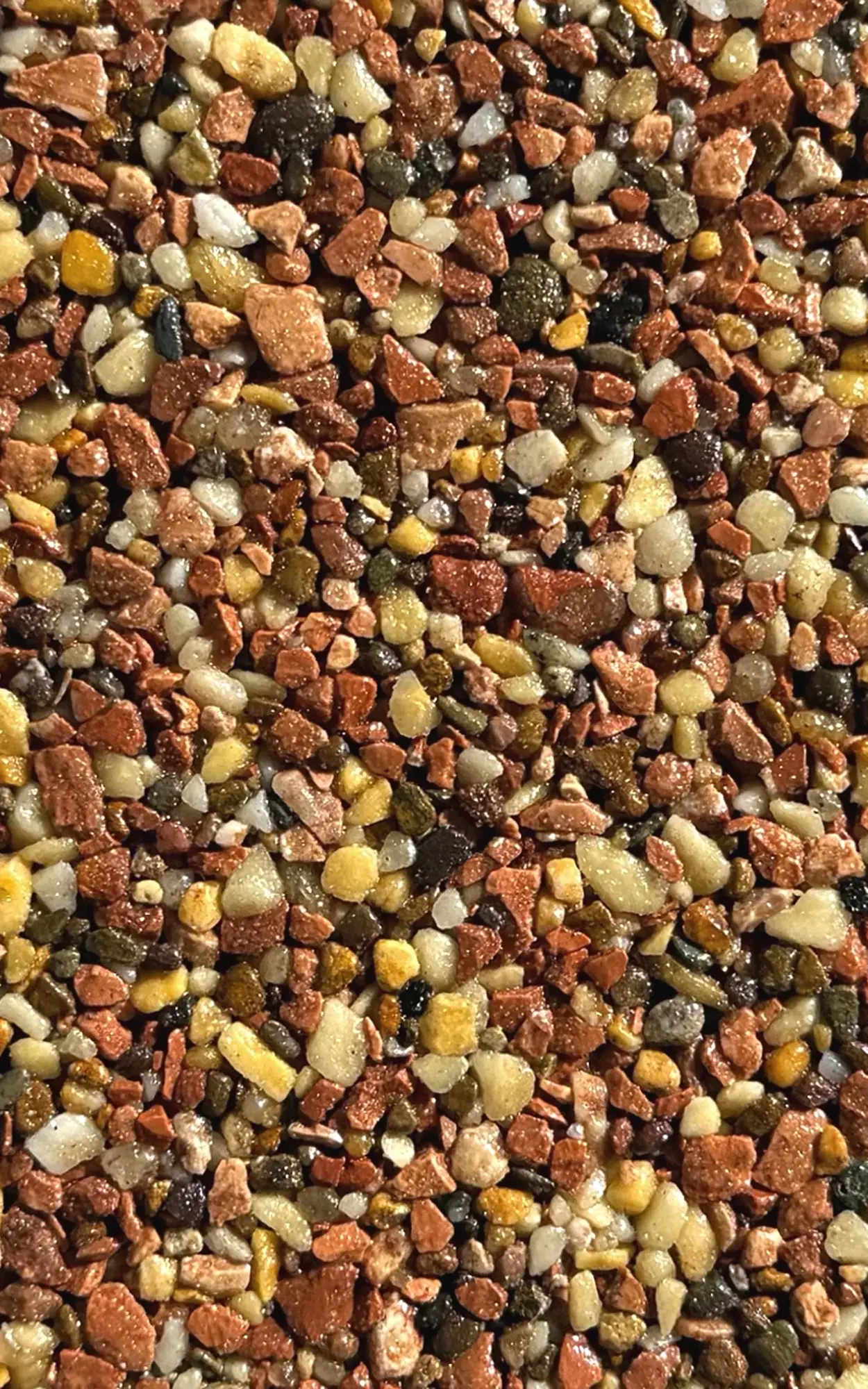 Close-up of mixed birdseed with corn and grains