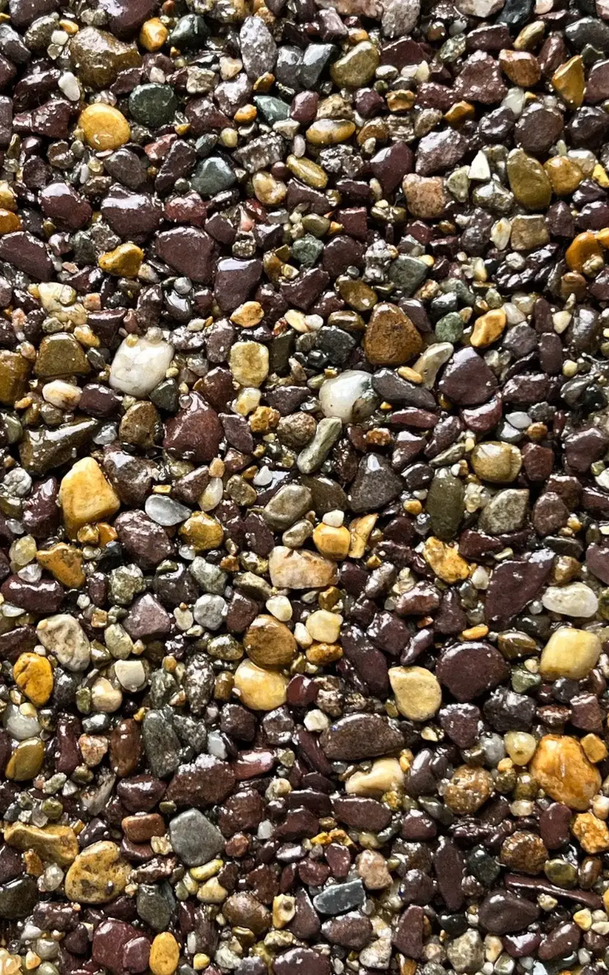 Close-up of multicolored pebbles covering the ground