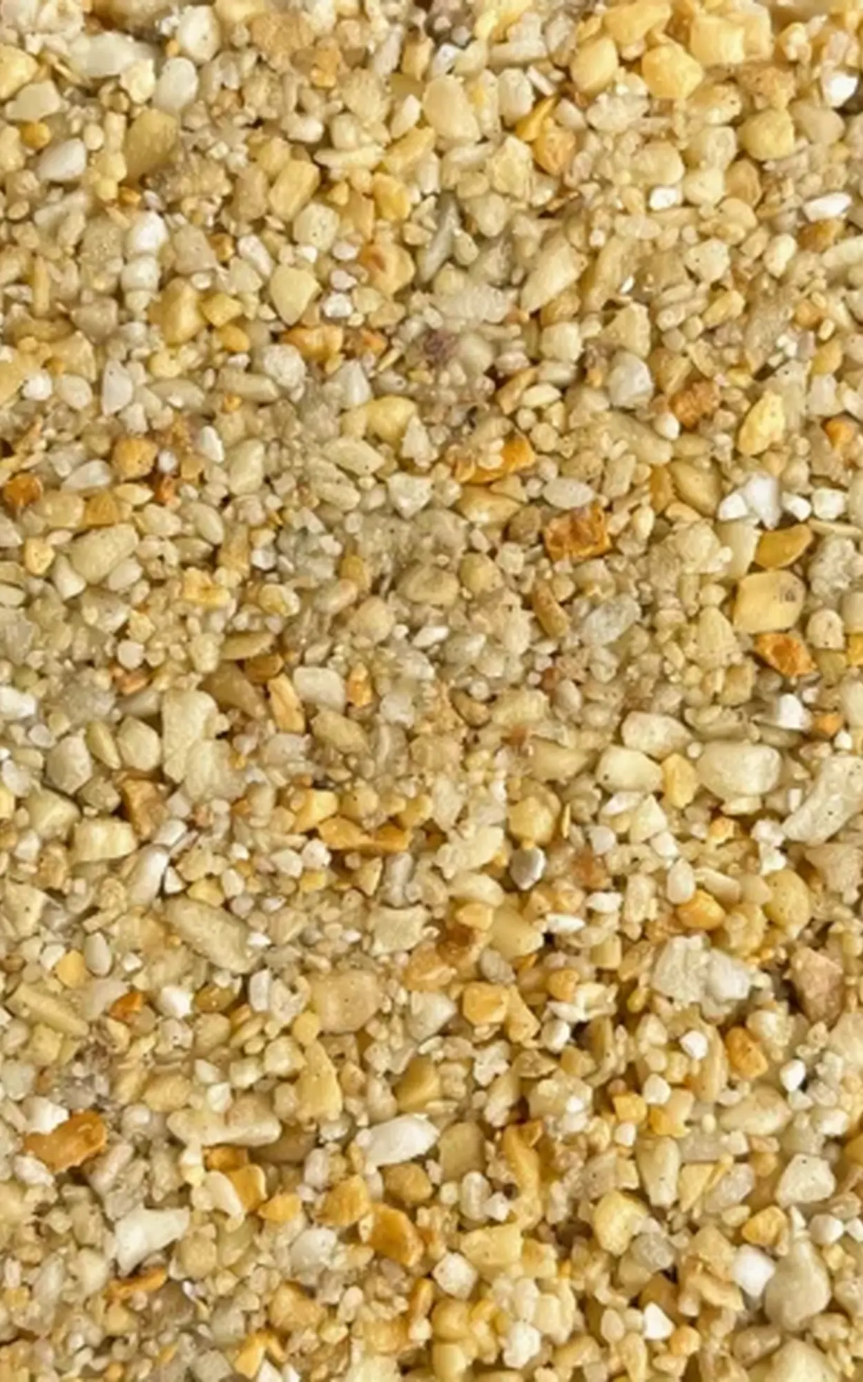 Close-up of yellow cornmeal granules texture