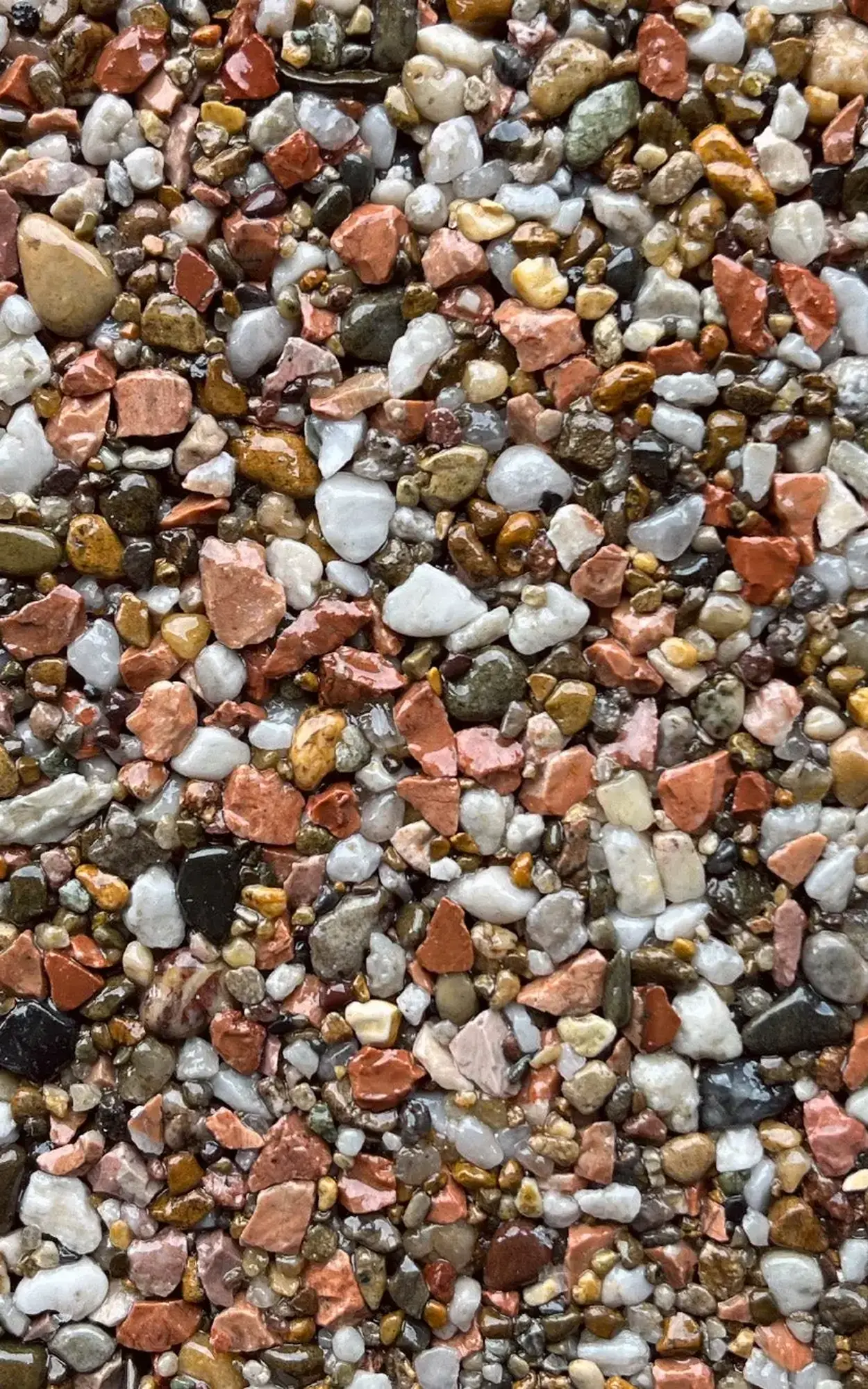 Close-up of multicolored gravel stones in tan, white, gray, and reddish tones