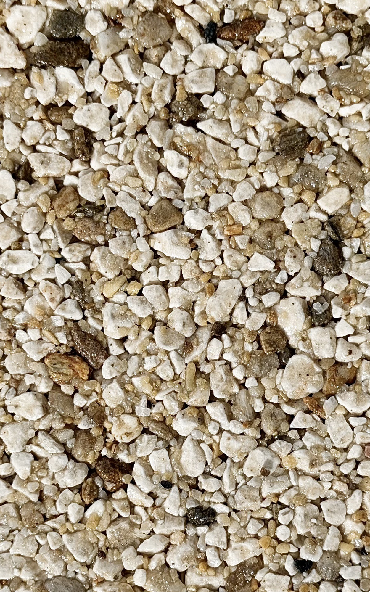 Close-up of coarse sand grains in beige and white tones