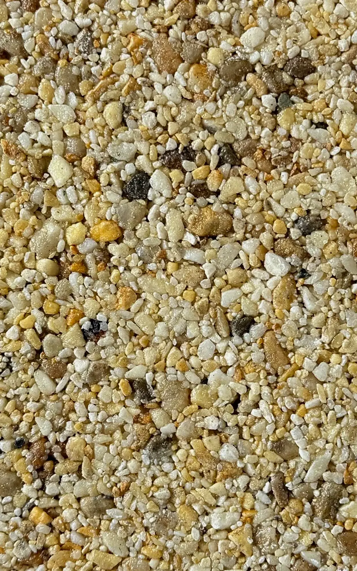 Close-up of coarse sand and small pebbles in tan and gray tones