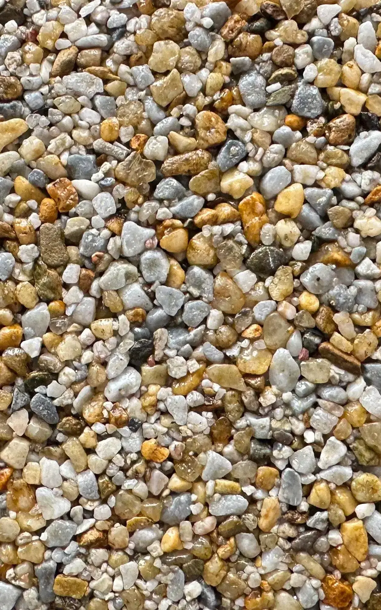 Close-up photo of mixed-color gravel stones