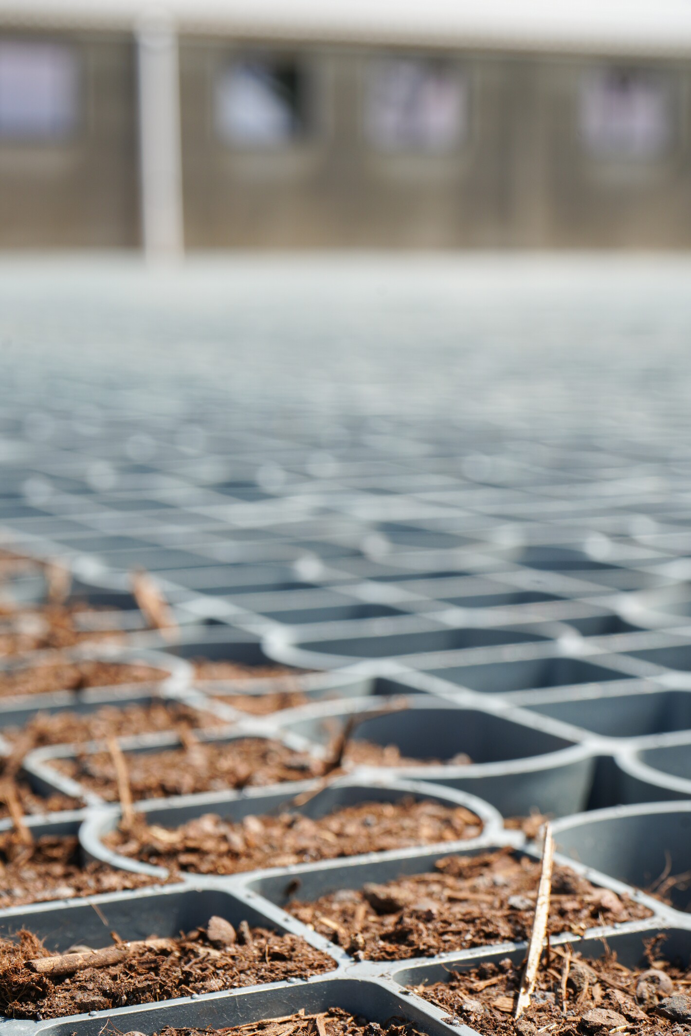 Close-up of metal grid surface with scattered dry leaves and debris