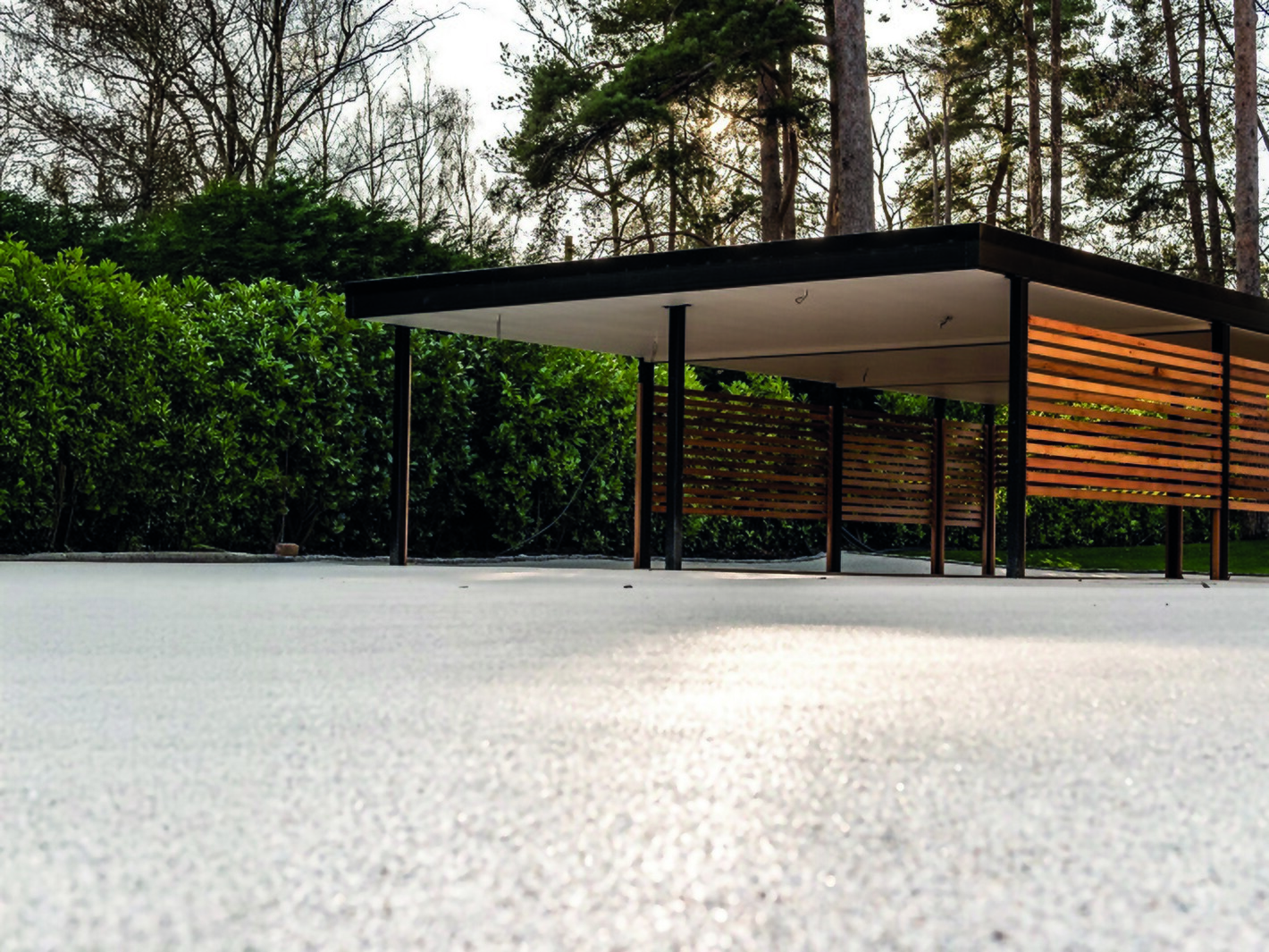 Modern paviljoen met houten gevel en plat dak in besneeuwd bos